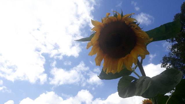 O Cichej Radości Istnienia, czyli jak to się zaczęło… O Cichej Radości Istnienia, czyli jak to się zaczęło…